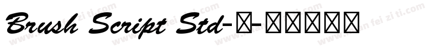 Brush Script Std-中字体转换